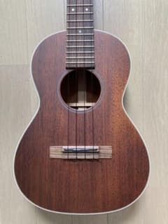 【Yama Mid様専用】アランフェス付「美品」MARTIN STYLE 2のサムネイル