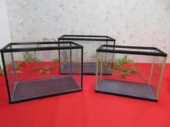 14QM217 アクリル水槽 3個セット Five Planなど - メルカリ