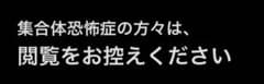 羊 詰め合わせキーホルダーのサムネイル