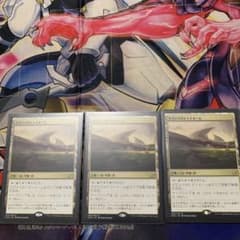MTGサヴァイのトライオーム日版3枚のサムネイル