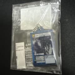【まとめ買い歓迎】デジモン デビモン アクリルキーホルダーのサムネイル