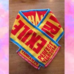 THE SURVIVAL タオルのサムネイル