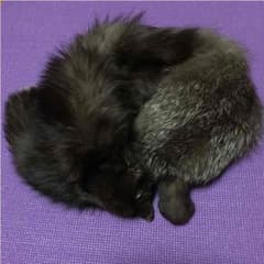 孝ちゃん専用   リアルファー  フォックス マフラー 新品のサムネイル