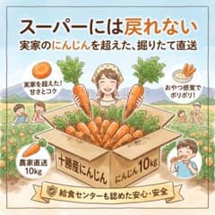 !10/8までの限定価格!【食卓レスキュー】十勝産・掘りたて人参10kgのサムネイル
