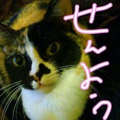 hyt様専用 All you need is kill 1巻のサムネイル