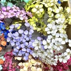 訳あり小手毬セットのサムネイル