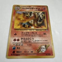 中*迎様 カツラのリザードン カツラのリザードン - メルカリ