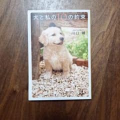 犬と私の10の約束のサムネイル