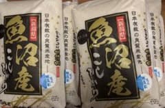 新潟県南魚沼産 コシヒカリ 無洗米 5kg×4袋 20kgのサムネイル
