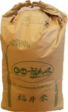 福井県勝山市産 30kg 令和7年産 コシヒカリ玄米 - メルカリ