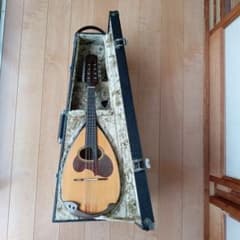 SUZUKI M-50 Mandolin マンドリン ハードケース付き - メルカリ