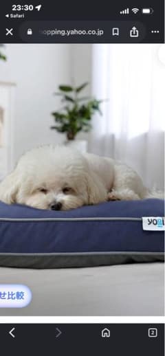 Doggybo Mini］ ペット用クッションダークグレー | Mercari