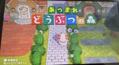 あつまれ どうぶつの森 Nintendo Switch ソフトのサムネイル