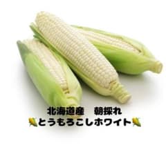 北海道産　朝採れ　新鮮な白いトウモロコシ 訳あり　お試し3本のサムネイル