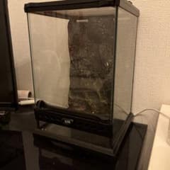 EXO TERRA 爬虫類用 飼育ケージ ガラスケージ - メルカリ