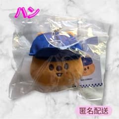 【匿名配送】スキズ Straykids KARMA withfans ハン StrayKids スキズ KARMA POPUP ぬいぐるみチャーム ハン - メルカリ