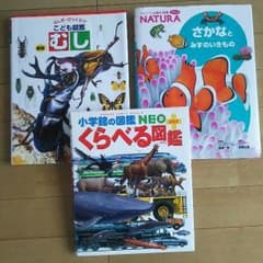 もも様専用☆図鑑 三冊セットのサムネイル