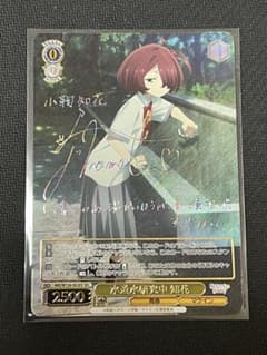 ヴァイス SEC 水道水研究中 知花 負けイン - メルカリ