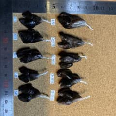 Aイガイ団子ルアー （カラス貝ルアー）擬似餌10個のサムネイル
