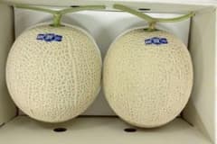 ⑥1番人気のサイズ！高知県産温室マスクメロン 2玉入り秀品約3.7㎏（下 