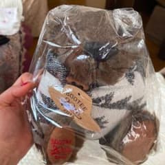 REGAL くま　ベアのサムネイル