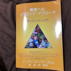教育へのピラミッド・アプローチのサムネイル