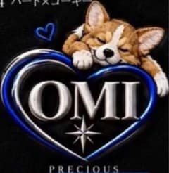 E様専用出品　犬好きさんにおすすめ オーダーメイド刺繍ハンカチのサムネイル