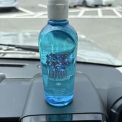FAVOUR COOL SHAMPOO 240ml フェーバ　ヘアシャンプーのサムネイル