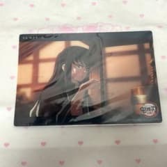 Demon Slayer: Kimetsu no Yaiba Tokito Muichiro WEBSHOP Lottery Big Clear Card Pillar Training Arc