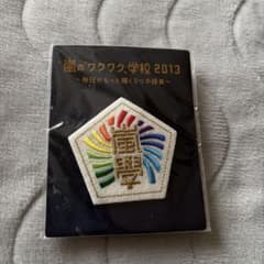 嵐のワクワク学校 2013 ピンバッジのサムネイル