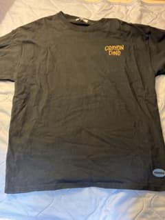 CRAYON DINO Tシャツのサムネイル