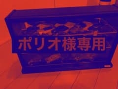 ポリオ様専用のサムネイル
