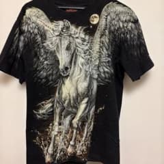V系 ダークコア フェアリーグランジ y2k 翼 ユニコーン Tシャツ 黒のサムネイル