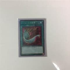 ハーピィの羽箒のサムネイル