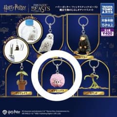ガチャガチャ ハリーポッター ファンタスティックビースト めじるしアクセサリーのサムネイル