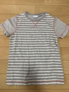 コロンビア　Tシャツ　トップス　半袖　S ボーダー　レディースのサムネイル