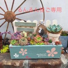 ★多肉植物　寄せ植え〜flower 木箱寄せ　大　リメ鉢付き♡〜★ m27156742151_1.jpg?1590925331