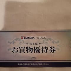 ヤマダホールディングス　ヤマダ電機　株主優待のサムネイル