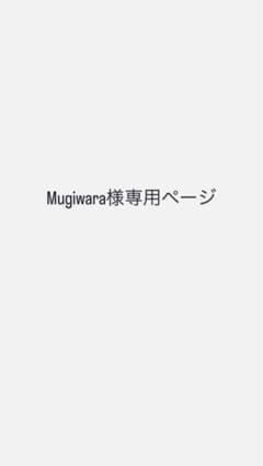 Mugiwara様専用ページです。のサムネイル