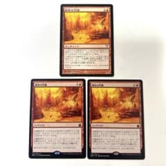 MTG 日本語 基本地形 基本土地 全コンプリート 4ED〜ONE コレクション MTG 日本語 基本地形 基本土地 全コンプリート 4ED〜ZNR