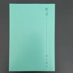 野菜—細川亜衣のサムネイル