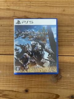 몬스터 헌터 와일즈 ps5 소프트