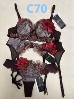 ワコール サルート 76 ブラ Tバックショーツ ガーターベルト 空中庭園