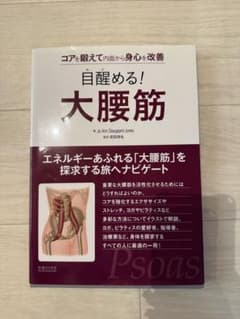 目醒める！大腰筋 コアを鍛えて内面から身心を改善のサムネイル