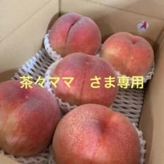 山梨の木のてっぺん桃 超特大を5個詰めて発送 人気商品 ももやのきよし