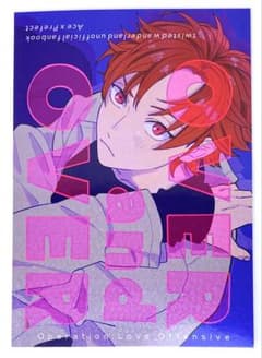 9/13 新刊 harahaco はら ツイステ 同人誌 エース - 2