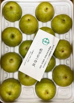 さくら様専用　山口県産　秋芳梨　20世紀梨　8玉入りのサムネイル