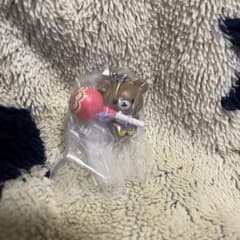 リラックマ チュッパチャプス マスコットスイング チャイロイコグマのサムネイル