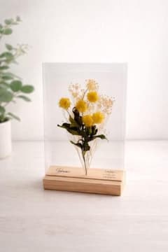 押し花 ドライフラワー インテリア 5枚セット 木製スタンド付 Sheme