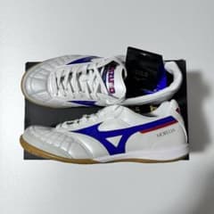 モレリア SALA JAPAN INのサムネイル